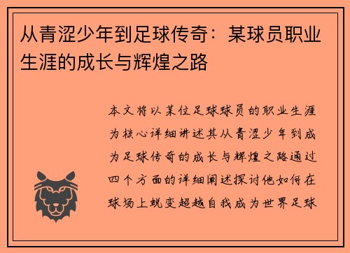 从青涩少年到足球传奇：某球员职业生涯的成长与辉煌之路